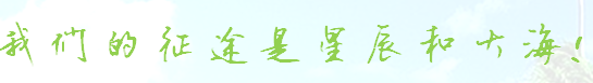 33.png